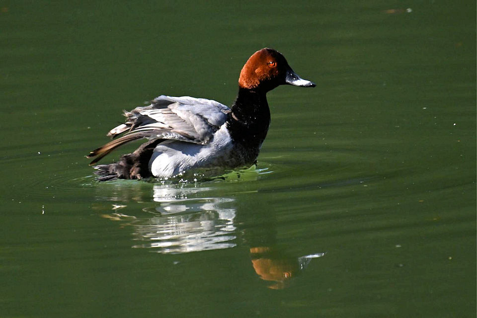 �z�V�n�W��